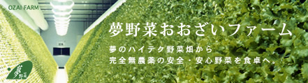 夢野菜おおざいファーム